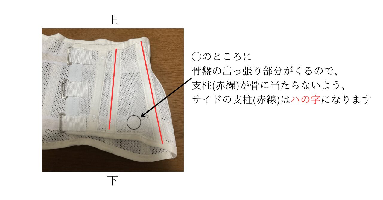 【図で解説】義肢装具士が教える医療用コルセット(ダーメンコルセット) 上下の見分けかた - 義肢装具士こたつのじかん